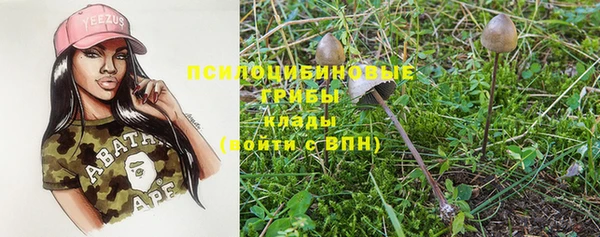 PSILOCYBIN Протвино