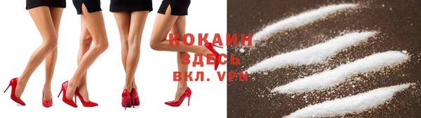 spice Богданович