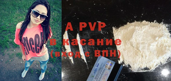 spice Богданович