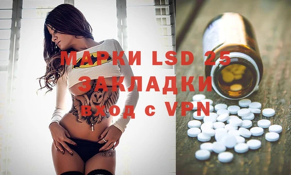 spice Богданович