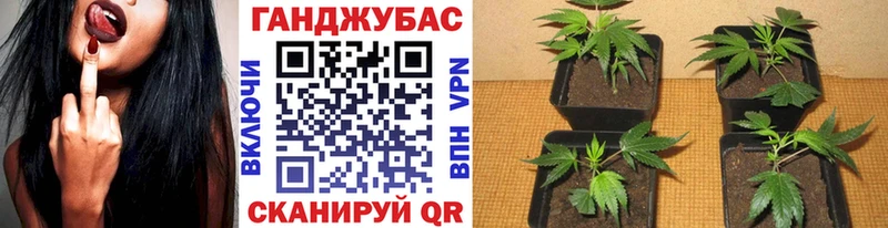Марихуана планчик  OMG как войти  Бодайбо 